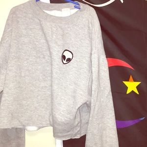 Alien Cropped sweater